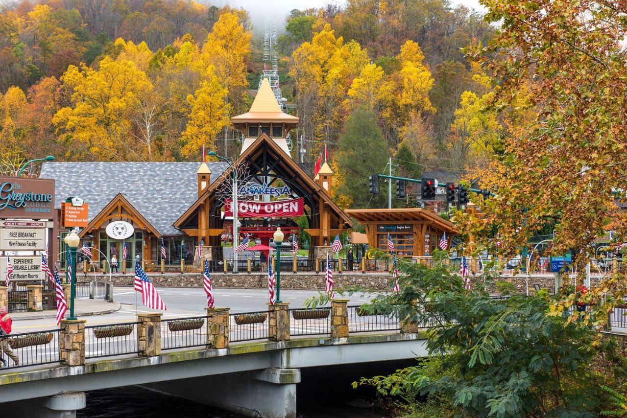 Bear View Chalet, 3 Bedroom, Pool, Pets, Arcades, Wifi, Hot Tub, Sleeps 12 Gatlinburg Extérieur photo