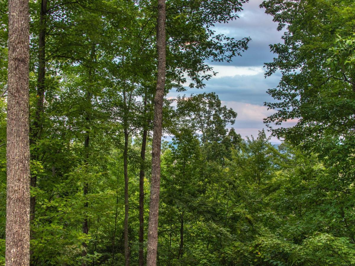 Bear View Chalet, 3 Bedroom, Pool, Pets, Arcades, Wifi, Hot Tub, Sleeps 12 Gatlinburg Extérieur photo